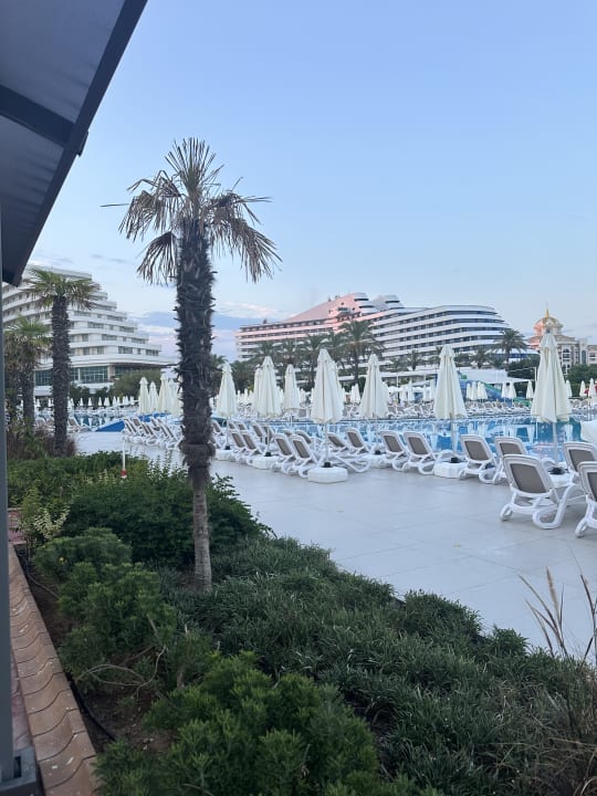 Gartenanlage Hotel Miracle Resort