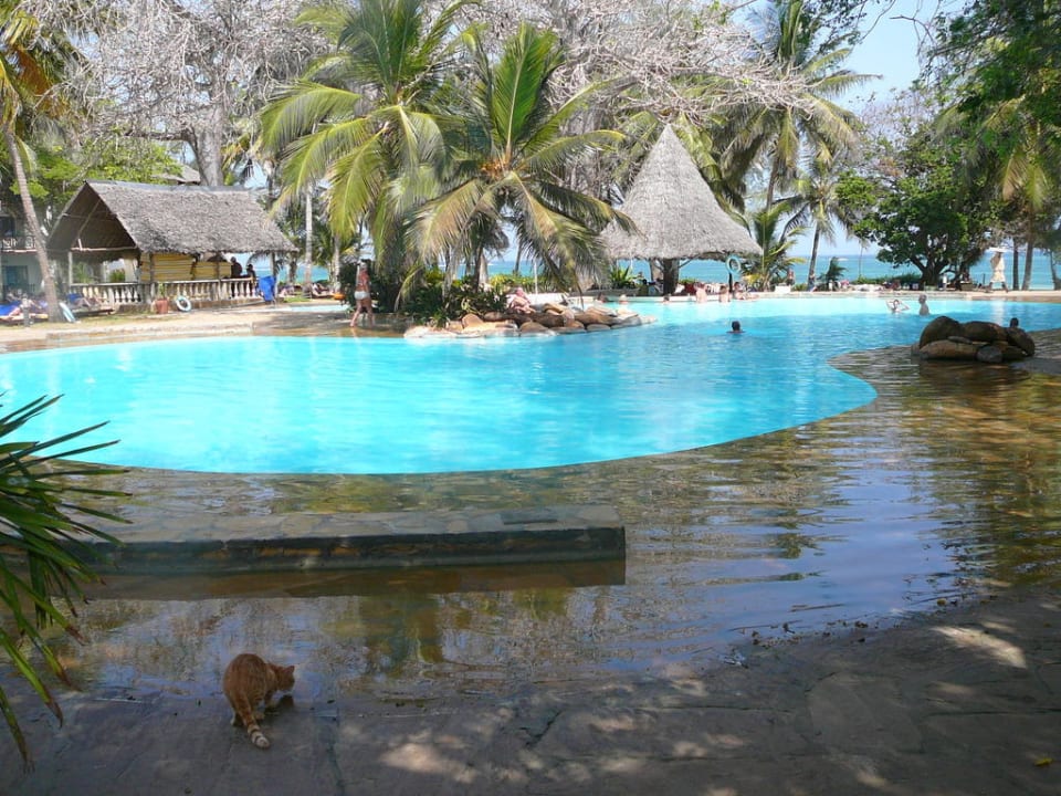 Pool mit Poolbar und Sitzmöglichkeit im Wasser Hotel Papillon Lagoon Reef