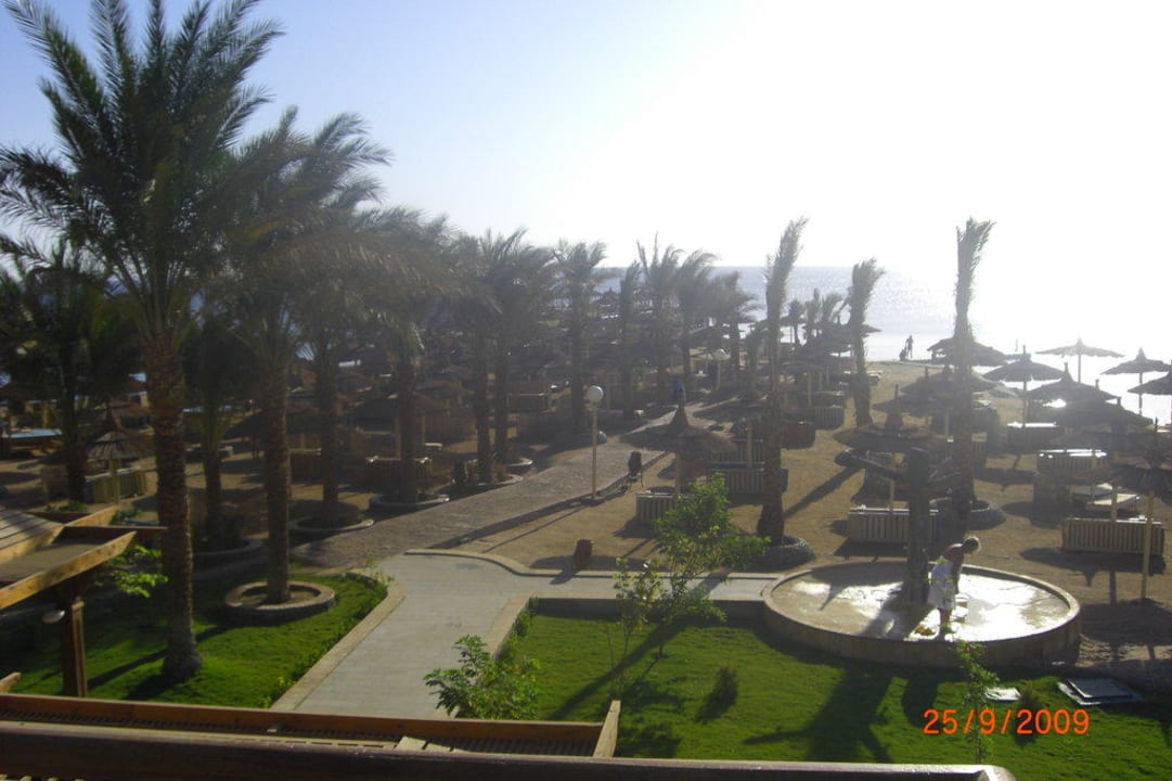 Strand Beach Albatros Resort