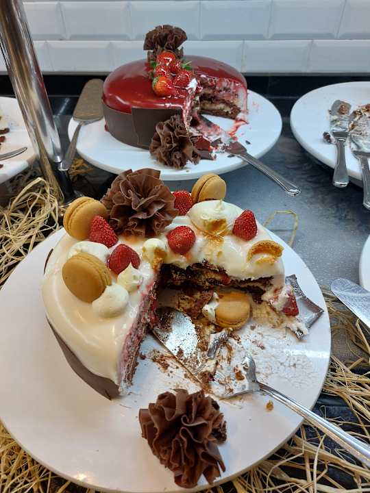 Gastro Seashell Vega