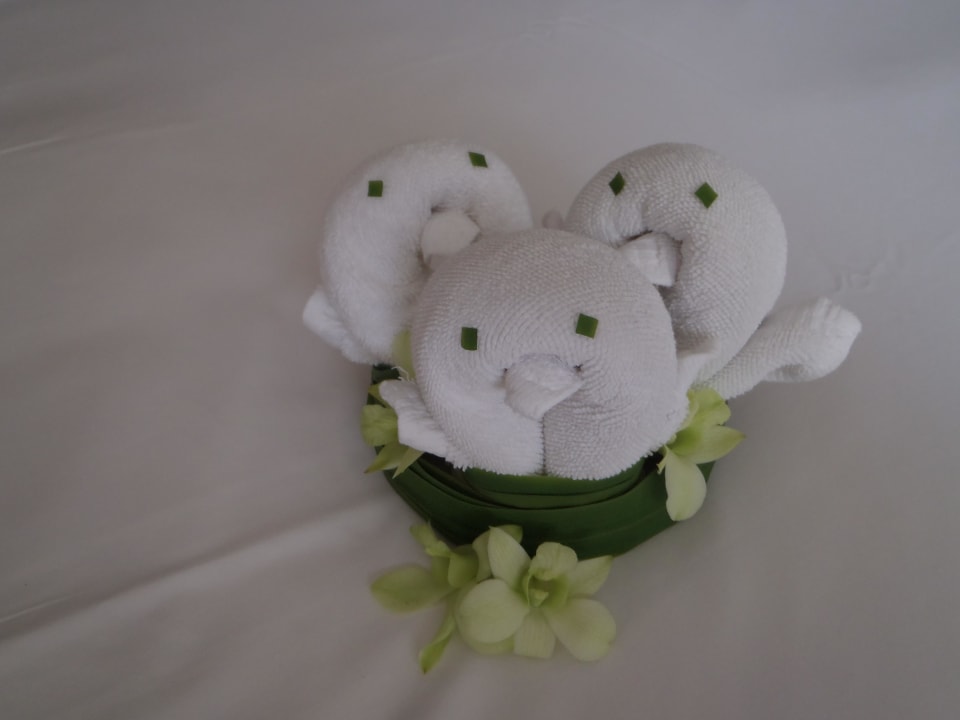 Jeden Tag ein neues Motiv am Bett The Sarojin