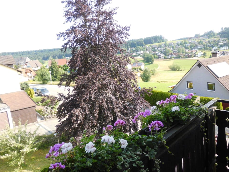 Sommerlicher Balkonausblickausblick Hotel Garni Schwarzwaldtanne