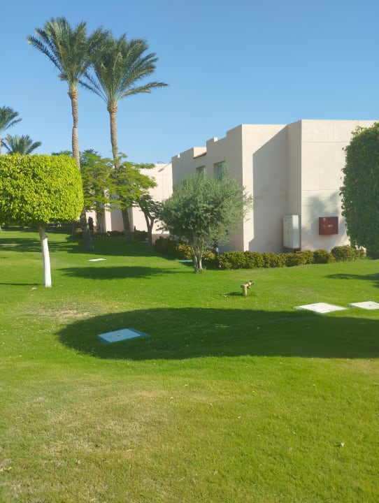 Außenansicht Cleopatra Luxury Resort Makadi Bay
