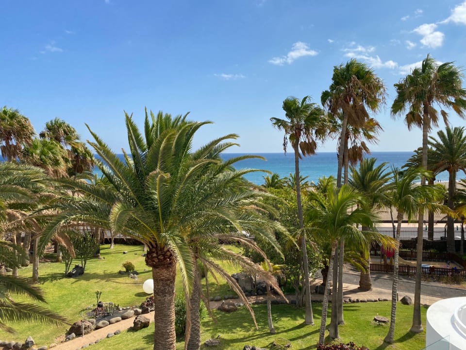 Gartenanlage Hipotels La Geria