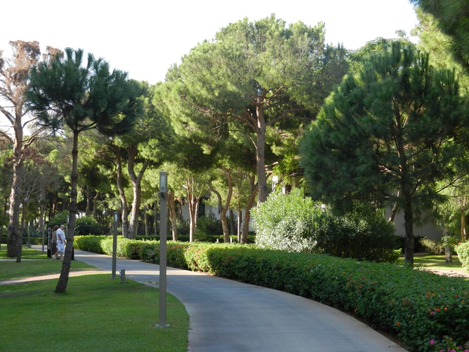 Xanadu  Xanadu Resort Hotel