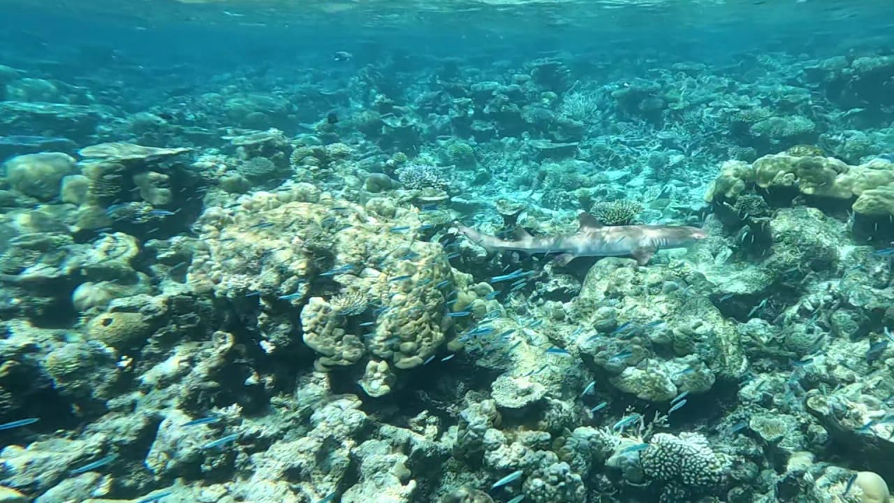 Sport & Freizeit NH Collection Maldives Havodda Resort