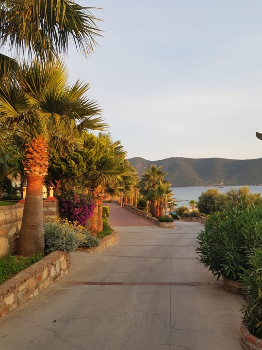 Gartenanlage TUI MAGIC LIFE Bodrum - Adult Only (16+)