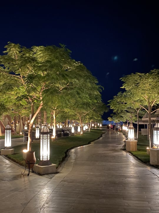 Gartenanlage The Grand Palace - Adults only