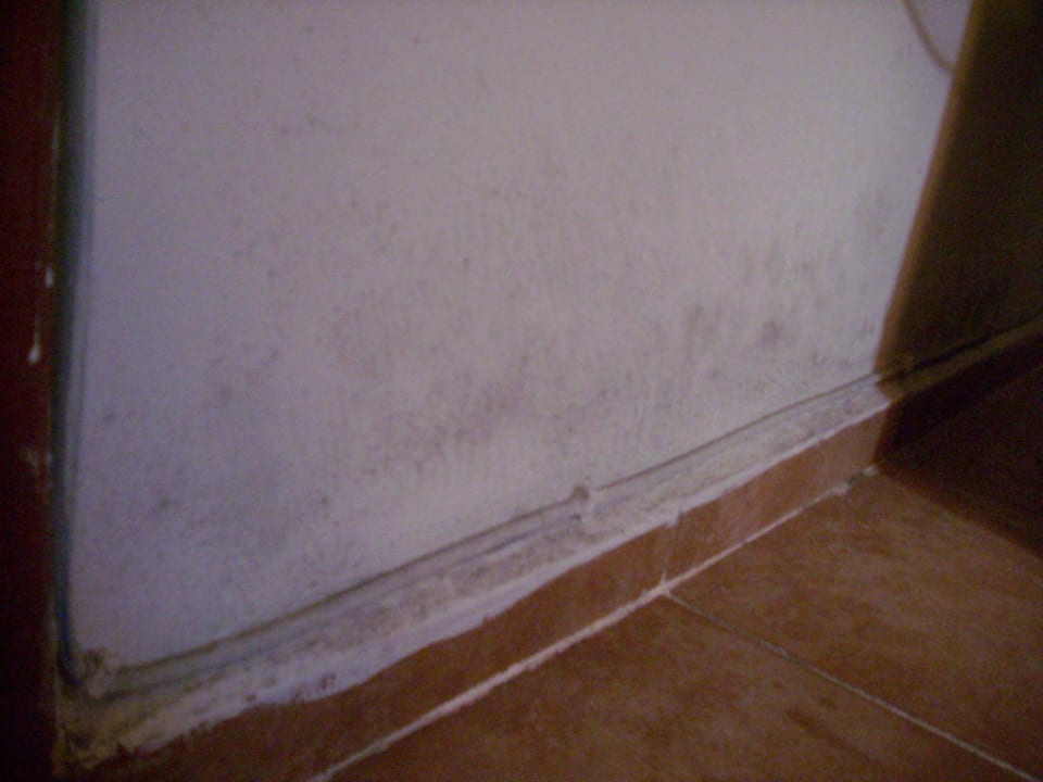 Wand Hotel Neptün/Neptun