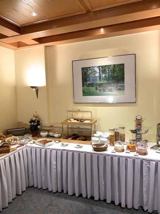 Gastro Hotel Luther Birke Wittenberg