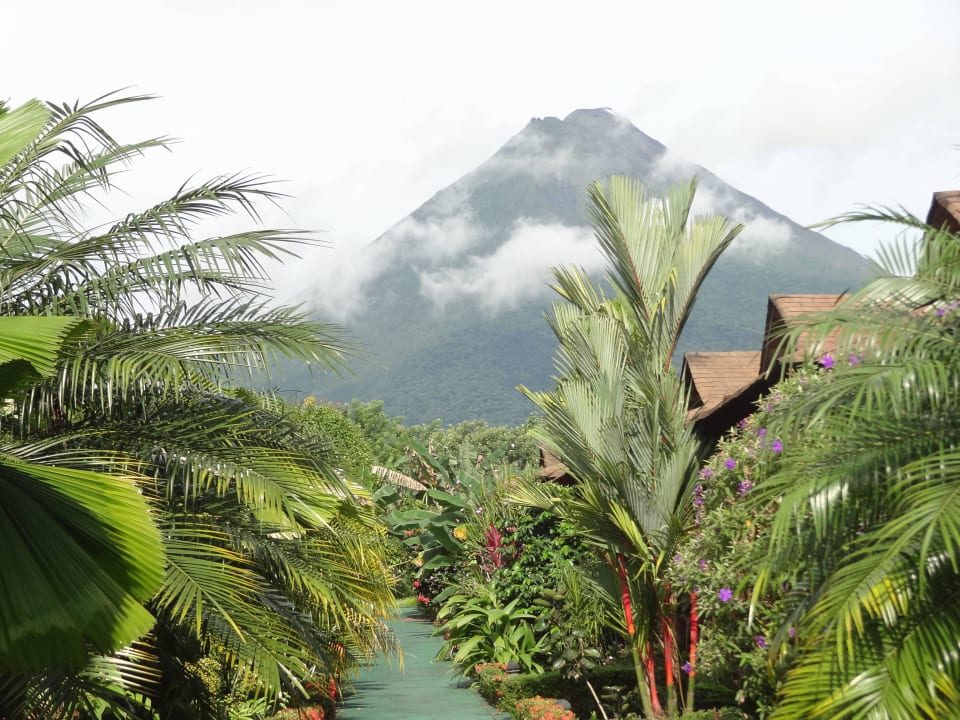 Hotel with beautiful gardens Hotel Arenal Montechiari