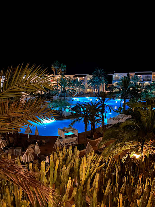 Pool Calimera Fido Gardens