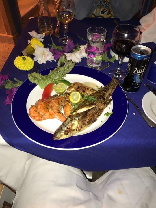 Auswahl an Fisch Club Paradisio El Gouna, Red Sea