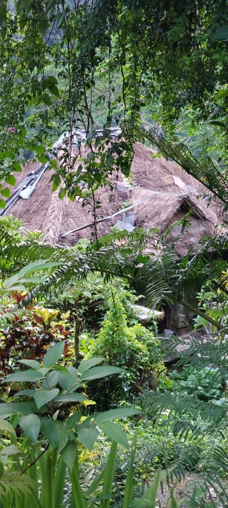 Gartenanlage Hotel The Royal Pita Maha