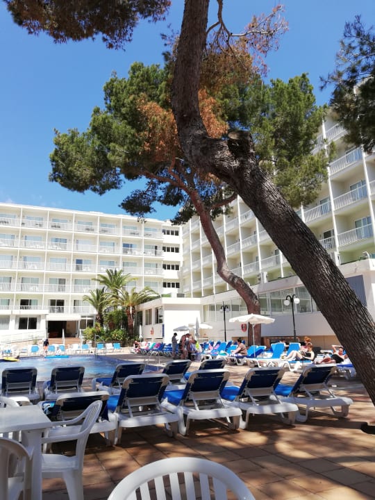 Pool Moon Dreams Coral Beach