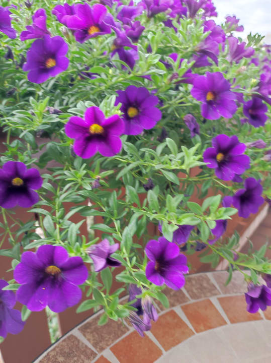 Gartenanlage Landhaus Meine Auszeit