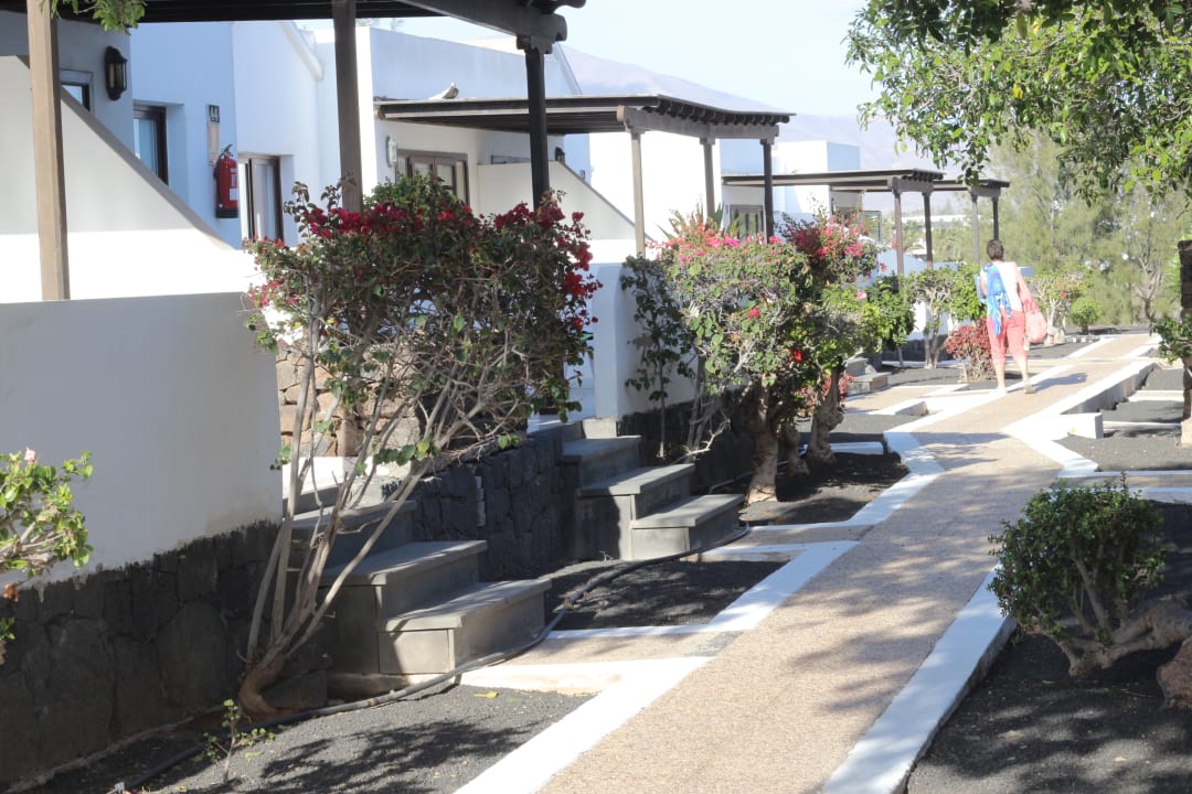 Gartenanlage Bungalows Playa Limones