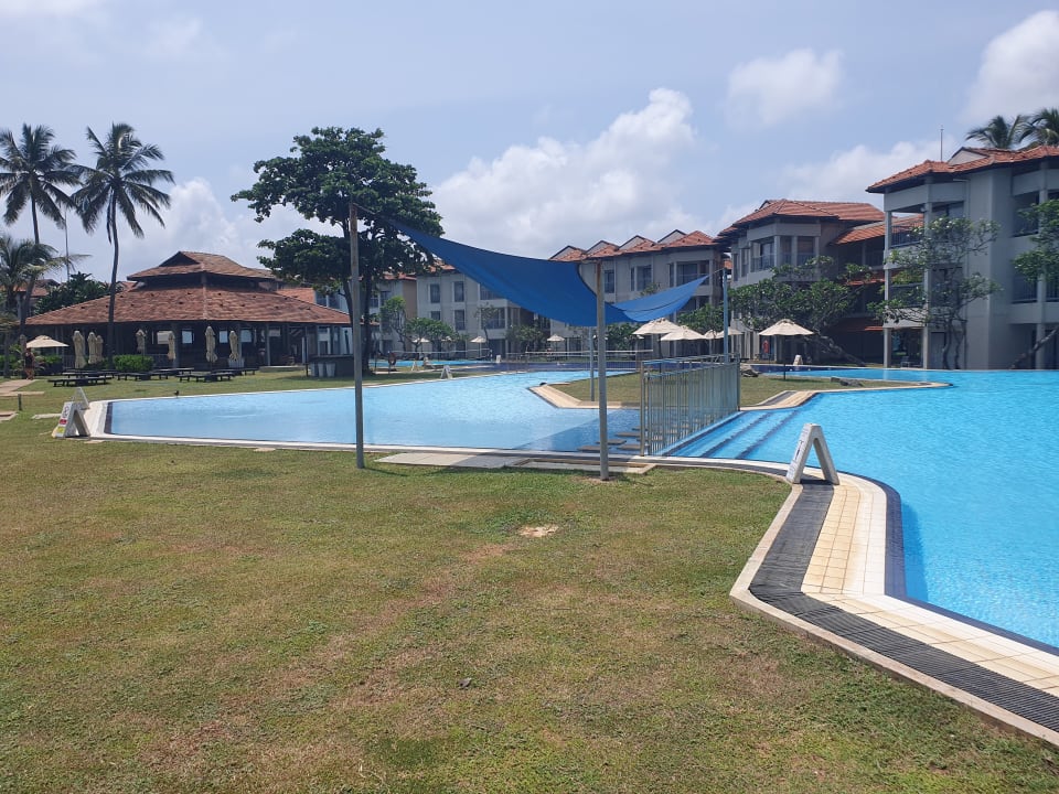 Pool Club Hotel Dolphin