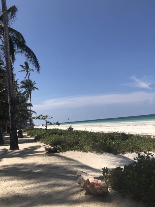 Strand Neptune Palm Beach Boutique Resort & Spa