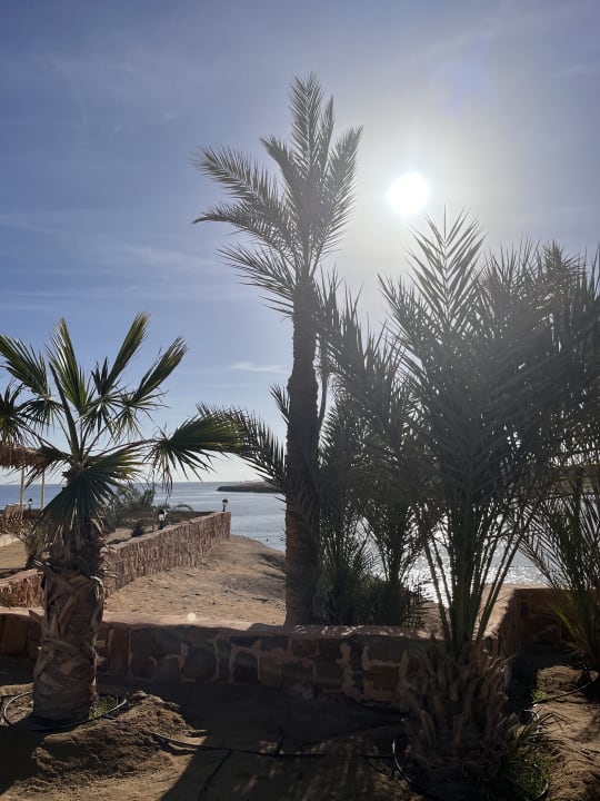 Strand Steigenberger Coraya Beach - Adults only