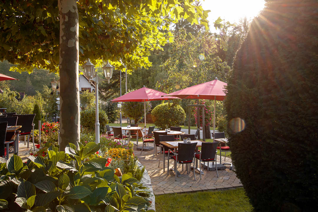 Gartenanlage Gasthof Hotel Belchenblick