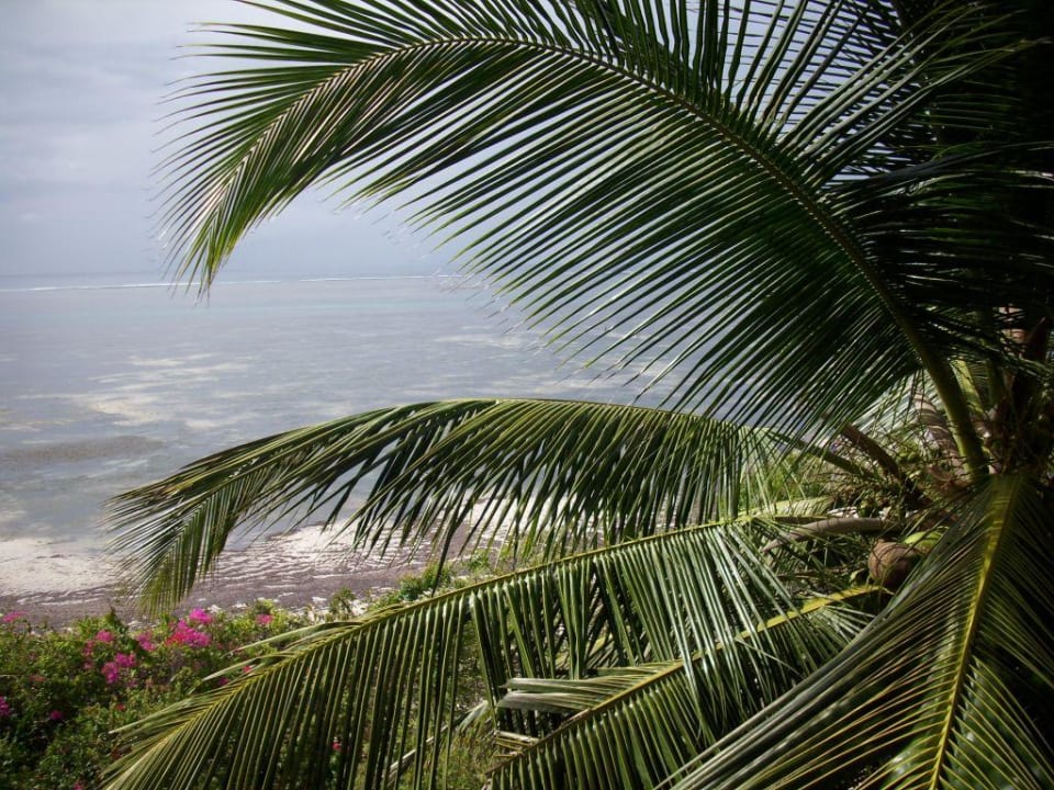 Meerblick bei Ebbe PrideInn Flamingo Beach Resort & Spa