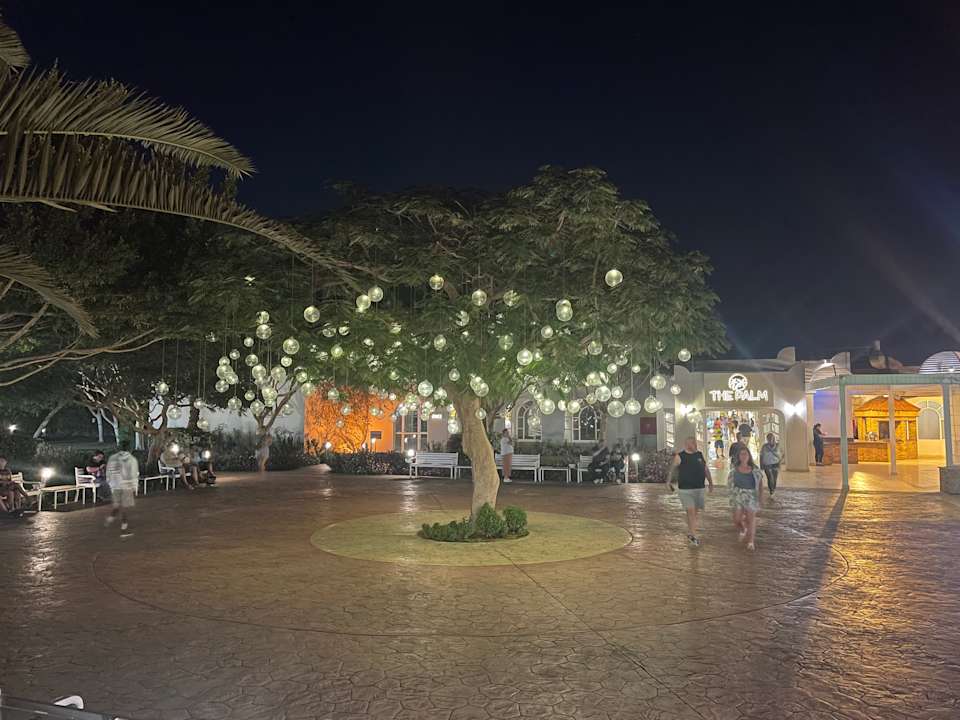 Gartenanlage Desert Rose