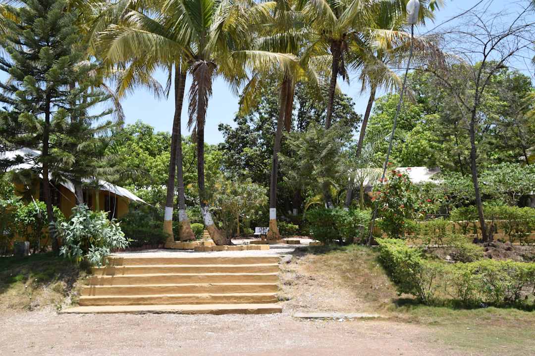 Blick in die Anlage Hotel Lion Safari Camp