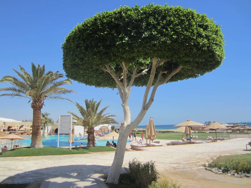 Schön gepflegte Anlage Hotel Mercure Hurghada