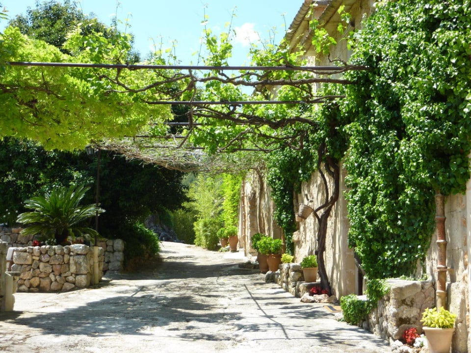 Verwachsene Fassade Agroturismo Vall de Pollensa