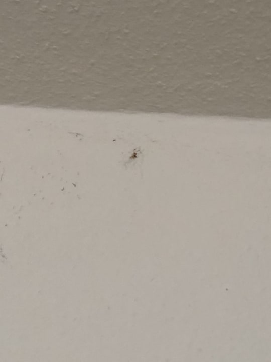 Zimmer Vitalhotel König am Park