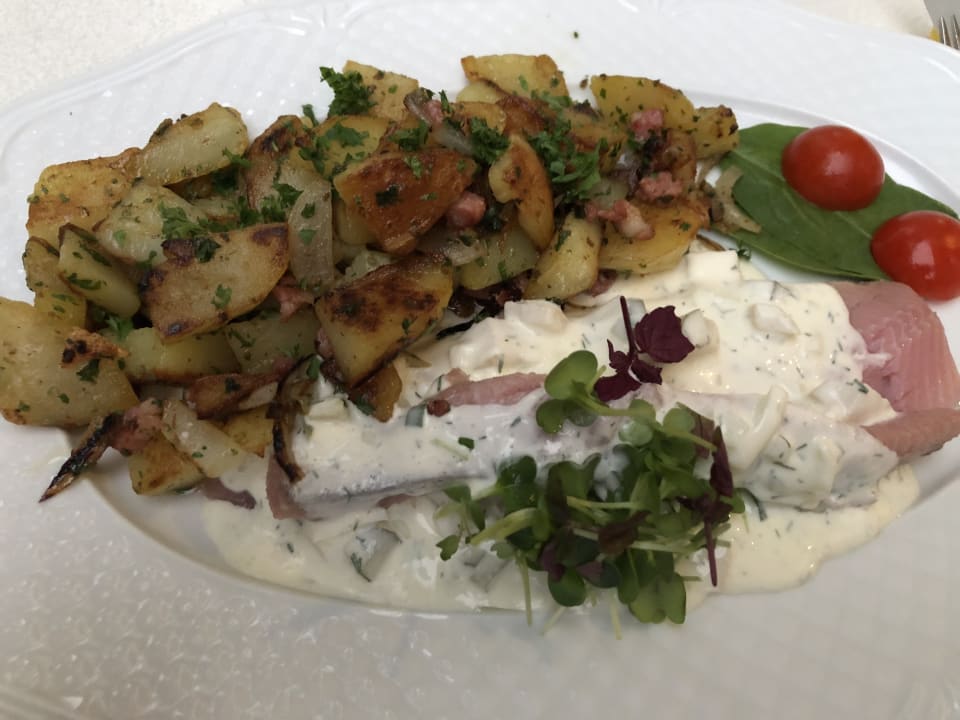 Gastro Hotel Luther Birke Wittenberg