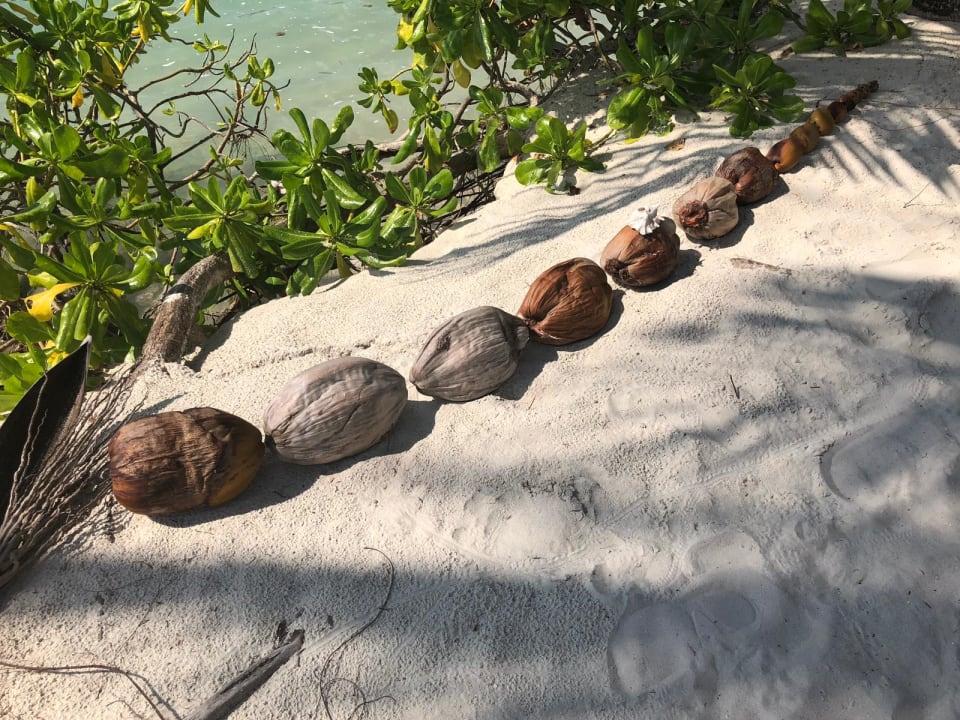 Strand Kuredu Island Resort & Spa