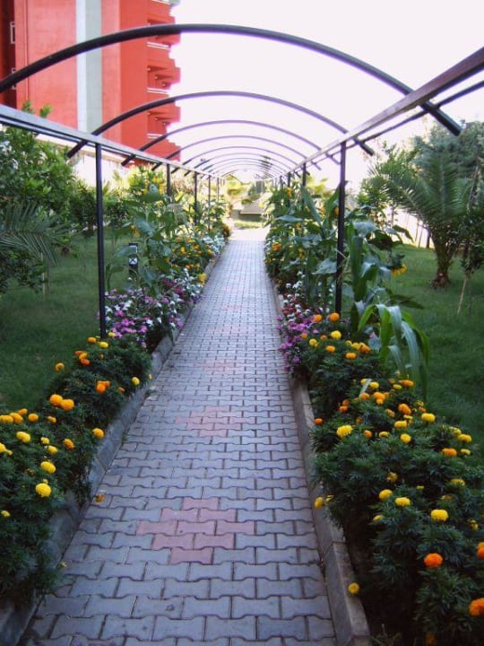 Übergang Haus 1 Aydinbey Gold Dreams