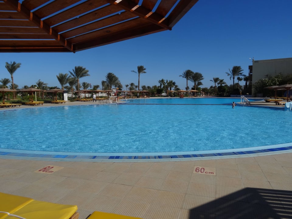 Beheizter Pool Desert Rose