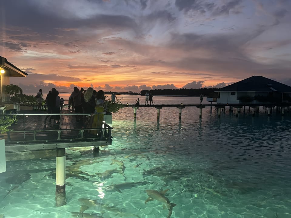 Außenansicht Villa Park Sun Island