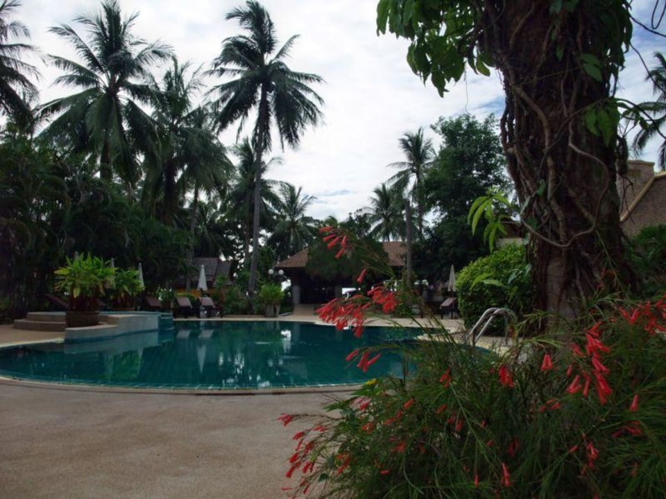 Beach Pool The Fair House Beach Resort
