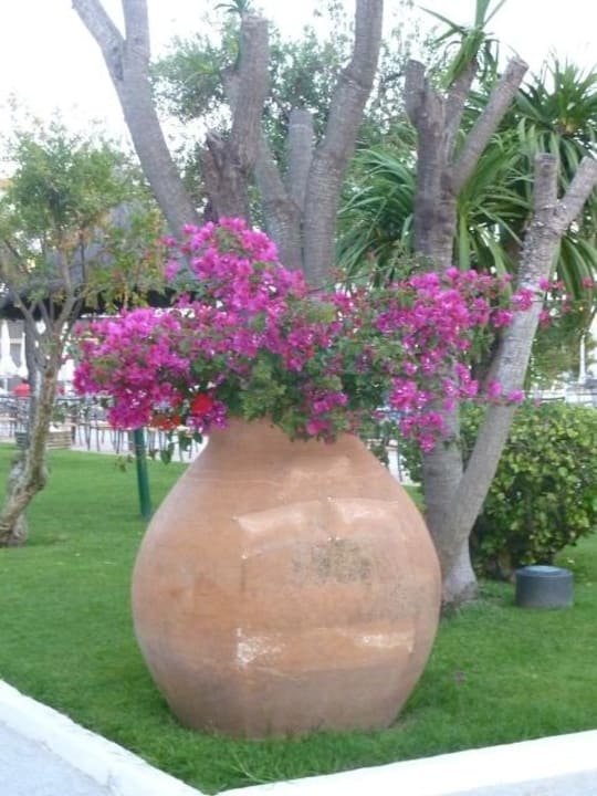 Bougavillea Hotel Playa de la Luz