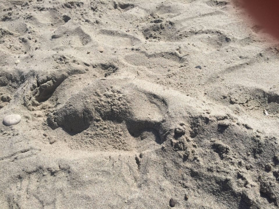 Piasek na plazy Blue Lagoon Resort