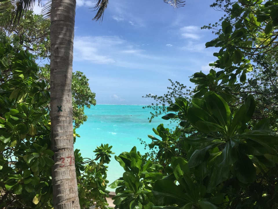 Strand Summer Island Maldives
