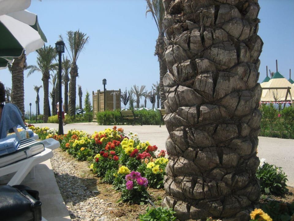 Anlage Trendy Aspendos Beach Hotel