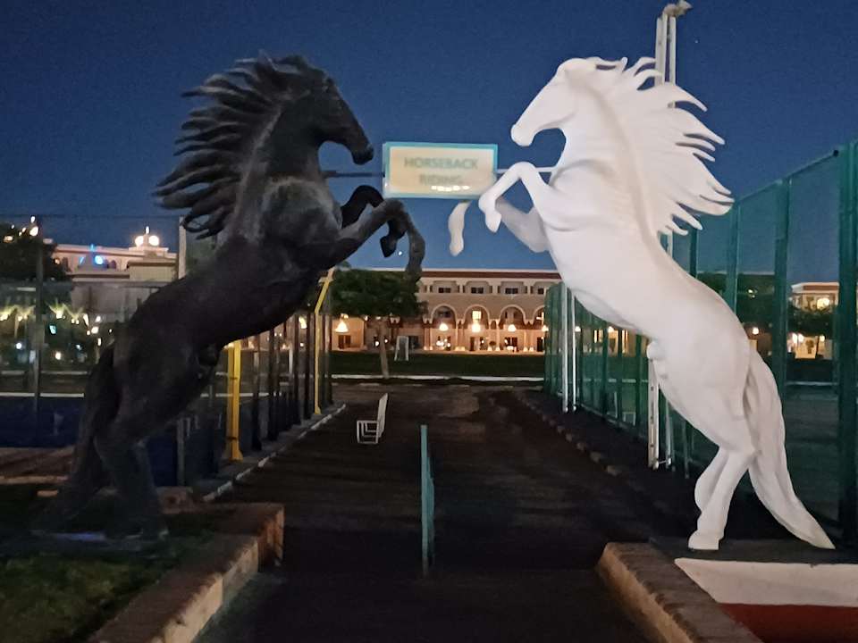 Gartenanlage SUNRISE Garden Beach Resort