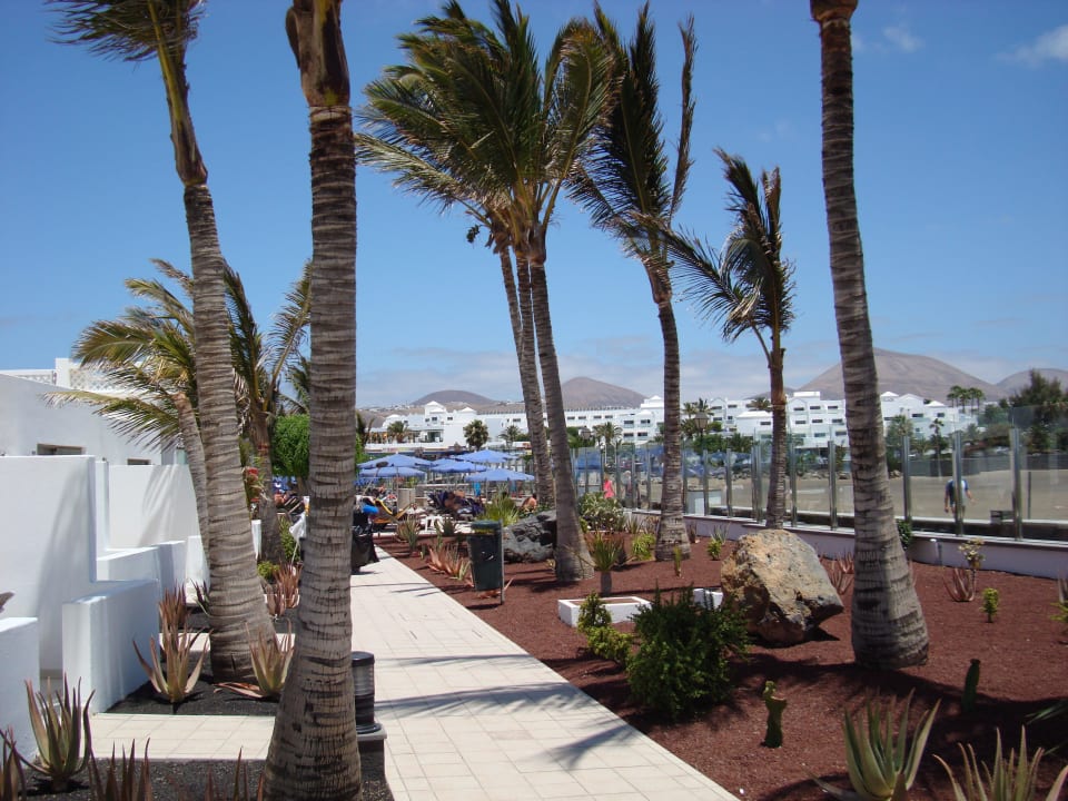 Zugang zum Pool Hotel Las Costas