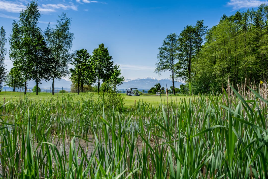 Sport & Freizeit OG's Golf Lodge