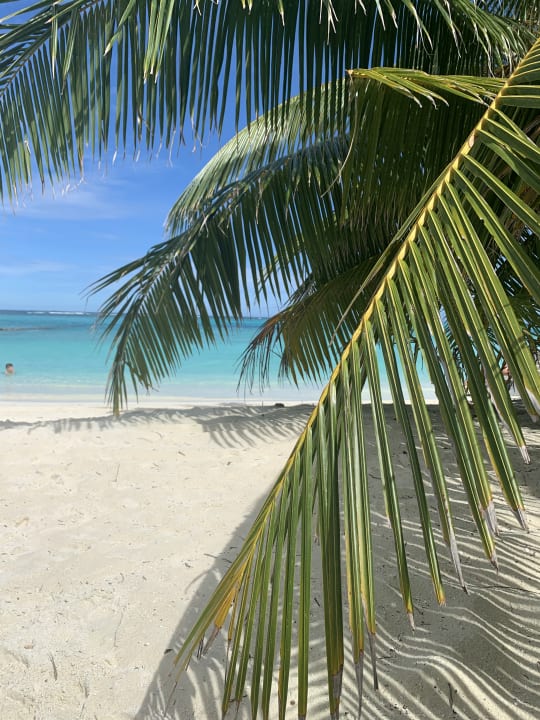 Strand Summer Island Maldives
