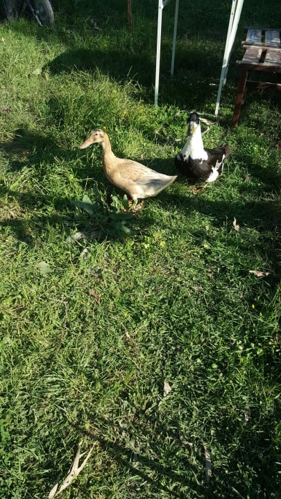 Gartenanlage Nostalgia World Pension