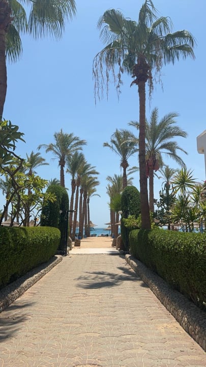 Außenansicht Marlin Inn Azur Resort