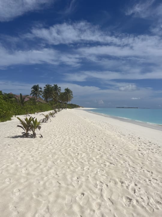 Strand Hondaafushi Island Resort