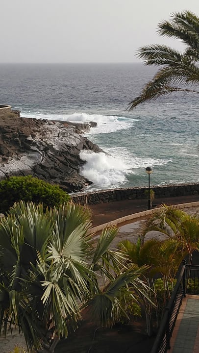Ausblick Hotel Riu Buenavista