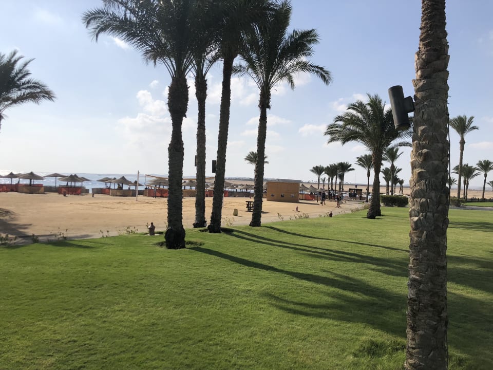 Strand Pickalbatros Palace Hotel-Port Ghalib